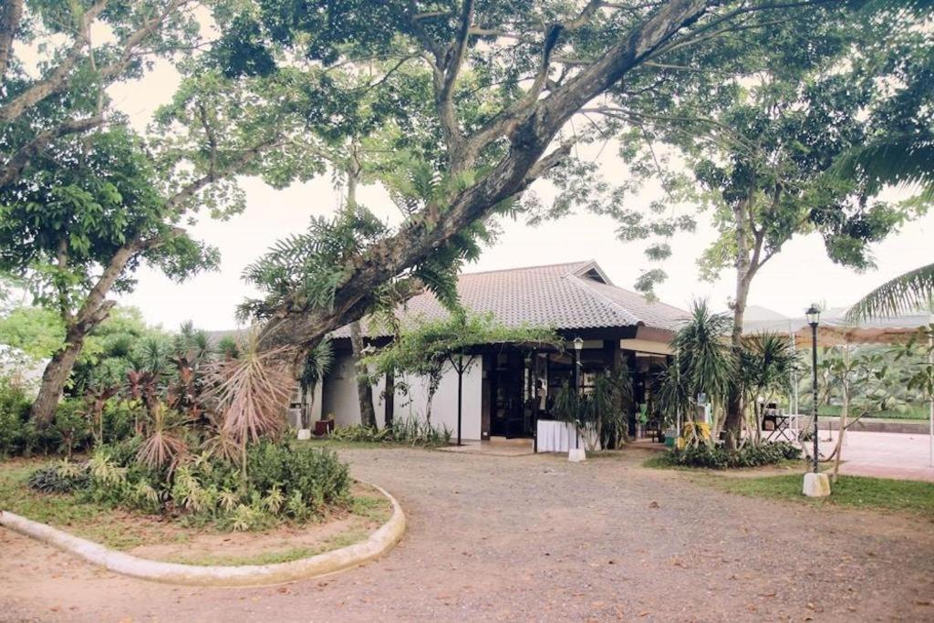 San Antonio Resort Roxas Zewnętrze zdjęcie